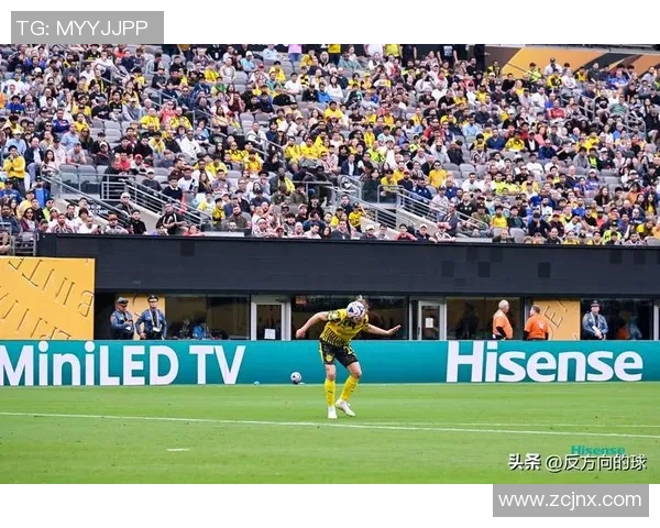 慕尼黑1860意外失利,德甲之路遭受挫折 慕尼黑1860意外失利,德甲之路遭受挫折